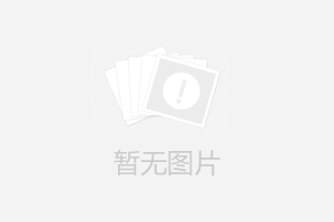 国务院新闻办就2023年全年进出口情况举行发布会